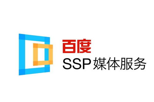 旋风蜘蛛池搭建